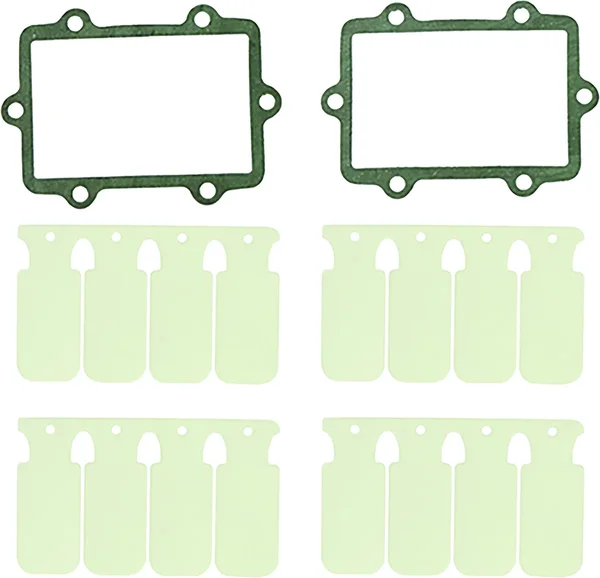 SP1 - SM-07301 - Reed Valve Rebuild Kit