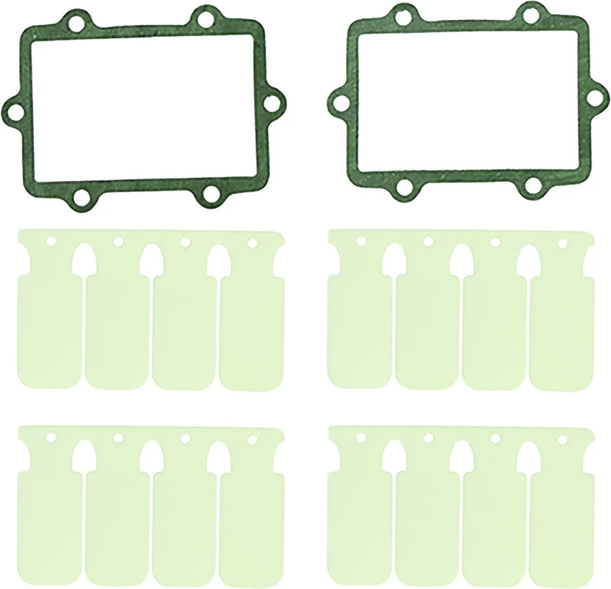 SP1 - SM-07301 - Reed Valve Rebuild Kit
