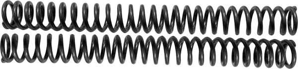 HARDDRIVE - R3050077 - Scepter Spring