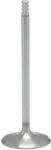 KPMI - 20-21009H - White Diamond Intake Valve