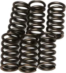 EBC CSK10 Redline Clutch Springs - High-Performance Racing Clutch Kit for Powersports Vehicles