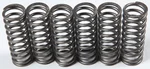 EBC Redline Clutch Springs - High-Performance Clutch Springs for Powersports Vehicles