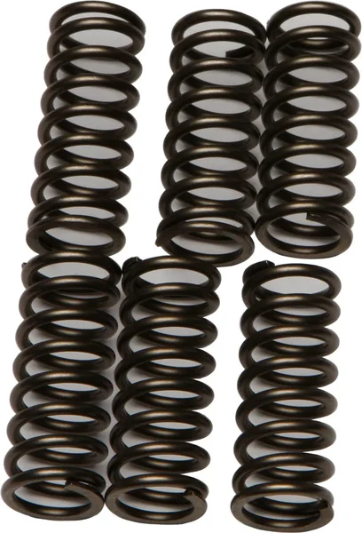 EBC CSK196 Redline Clutch Springs - High-Performance Clutch Spring Kit for Powersports Vehicles