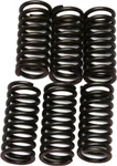 EBC CSK24 Redline Clutch Springs - High-Performance Clutch Springs for Powersports Vehicles
