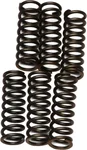 EBC CSK37 Redline Clutch Springs - High-Performance Clutch Kit for Powersports Vehicles