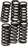 EBC CSK46 Redline Clutch Springs - High-Performance Clutch Springs for Powersports Vehicles