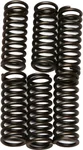 EBC CSK75 Redline Clutch Springs - High-Performance Clutch Spring for Powersports Vehicles