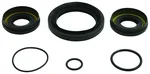 ALL BALLS - 25-2110-5 - Differential Seal Kit