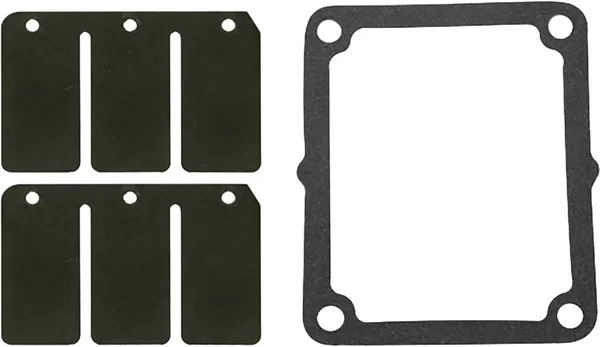 SP1 - SM-07157C - Reed Valve Rebuild Kit