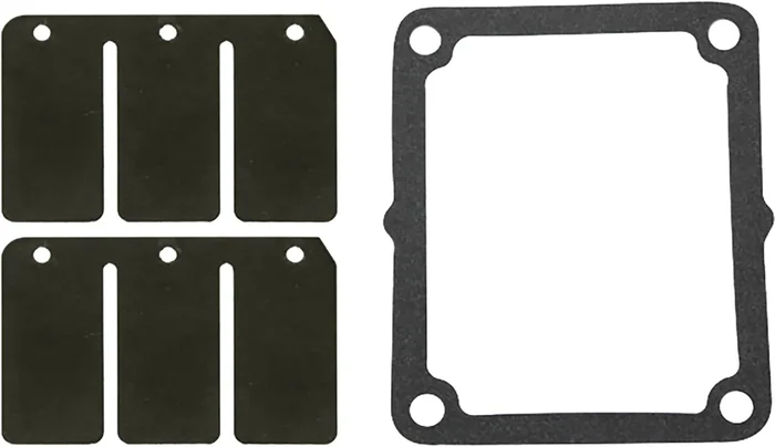 SP1 - SM-07157C - Reed Valve Rebuild Kit