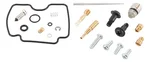 ALL BALLS - 26-1524 - Carburetor kit