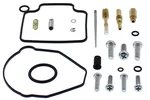 ALL BALLS - 26-1573 - Carburetor kit