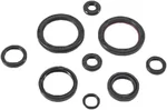 VERTEX - 822989 - Oil Seal Kit