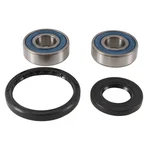ALL BALLS - 25-1743 - All Balls Wheel Bearing Kits