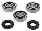 ALL BALLS - 24-1117 - Crankshaft Bearing & Seal Kit