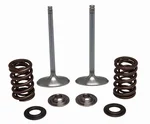 KPMI - 30-32780 - Intake Valve Spring Kit