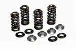 KPMI - 80-81400 - Racing Valve Spring Kit