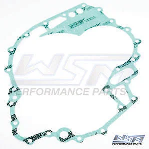 WSM - 007-573-01 - Timing Drive Cover Gasket