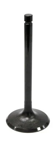 BRONCO - AU-09032I - Intake Valve