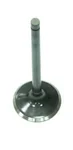 BRONCO - AU-09151E - Exhaust Valve