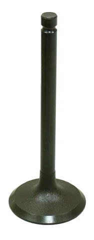 BRONCO - AU-09157I - Intake Valve