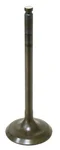 BRONCO - AU-09160I - Intake Valve