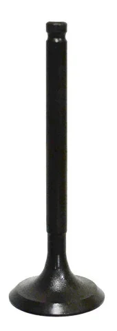 BRONCO - AU-09163I - Intake Valve