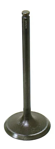 BRONCO - AU-09166I - Intake Valve