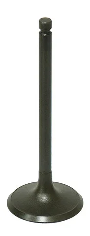 BRONCO - AU-09191I - Intake Valve