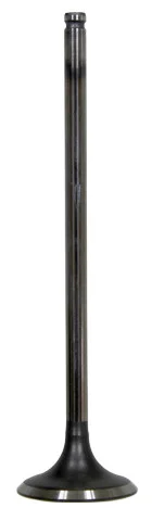 BRONCO - AU-09192I - Intake Valve