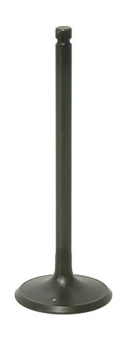 BRONCO - AU-09194I - Intake Valve