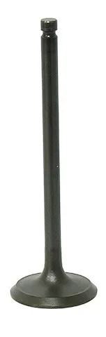 BRONCO - AU-09194E - Exhaust Valve