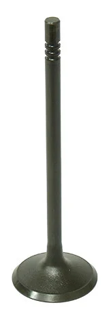 BRONCO - AU-09195I - Intake Valve