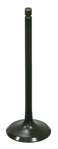 BRONCO - AU-09199I - Intake Valve
