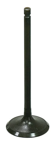BRONCO - AU-09199I - Intake Valve