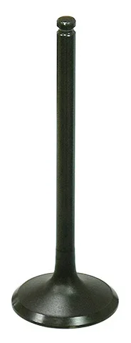 BRONCO - AU-09201E - Exhaust Valve
