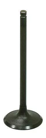 BRONCO - AU-09206I - Intake Valve