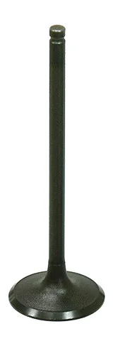 BRONCO - AU-09206I - Intake Valve