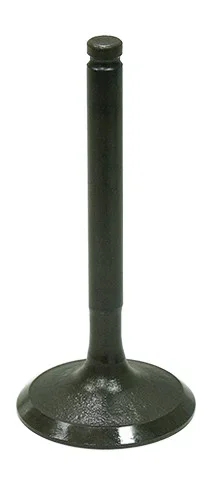 BRONCO - AU-09207I - Intake Valve