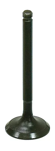 BRONCO - AU-09212I - Intake Valve