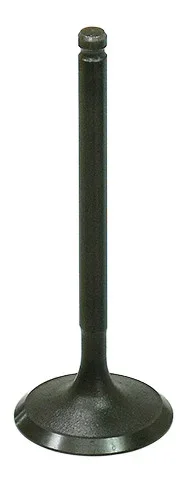 BRONCO - AU-09213I - Intake Valve