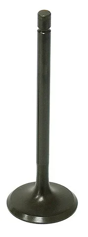 BRONCO - XU-09500I - Intake Valve