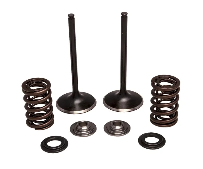 KPMI - 30-33200 - Intake Valve Spring Kit