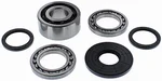 ALL BALLS - 25-2115 - Differential Bearing & Seal Kit