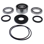 ALL BALLS - 25-2116 - Differential Bearing & Seal Kit