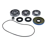 ALL BALLS - 25-2117 - Differential Bearing & Seal Kit