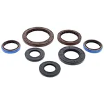 VERTEX - 822256 - Oil Seal Set