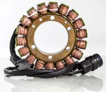 RICKS - 21-060 - Stator