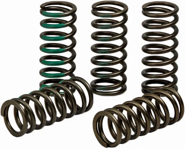 PRO CIRCUIT - CSK19450-CS - High Performance Clutch Springs