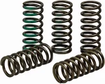 PRO CIRCUIT - CSK19450-CS - High Performance Clutch Springs